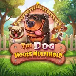 The Dog House Multihold game at King Johnnie Casino for Australian players